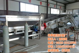 台湾锦泰 匠心酿造，不锈钢罐中的卓越品质与品牌包装艺术